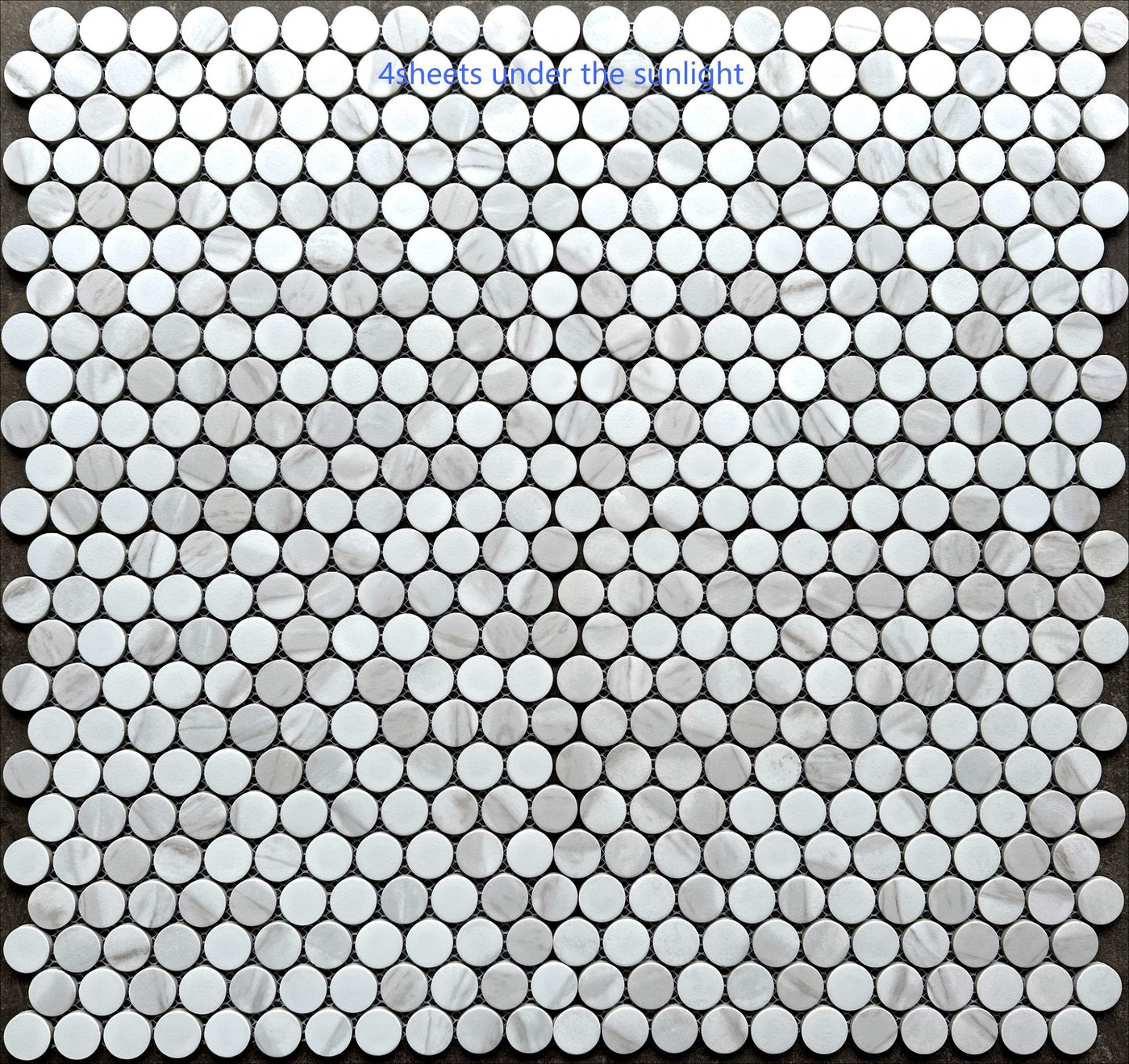 Porcelain Mosaic Penny round Matt Carrara Look