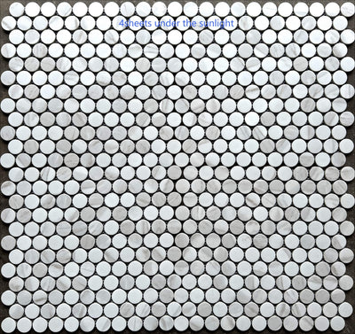 Porcelain Mosaic Penny round Matt Carrara Look